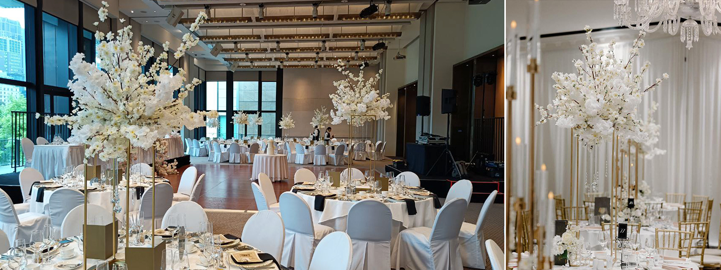 White Cherry Blossoms