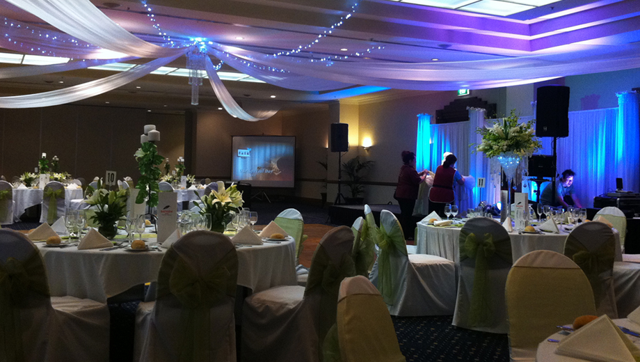 Photo 1.  <b>Ceiling Drapes</b>