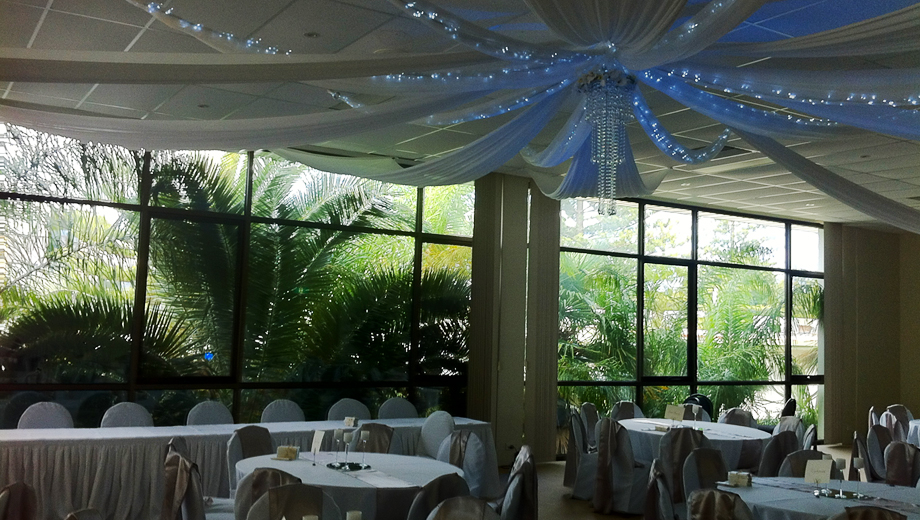 Photo 1.  <b>Ceiling Drapes</b>