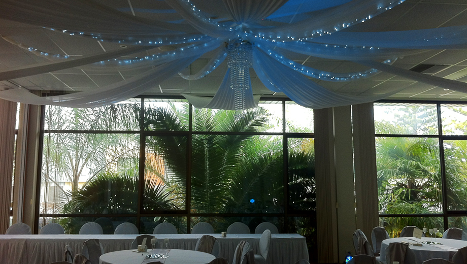 Photo 1.  <b>Ceiling Drapes</b>
