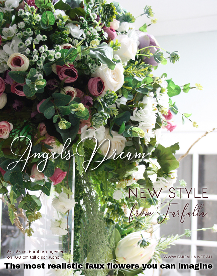 Photo 36.  <b>Angel's Dream</b>